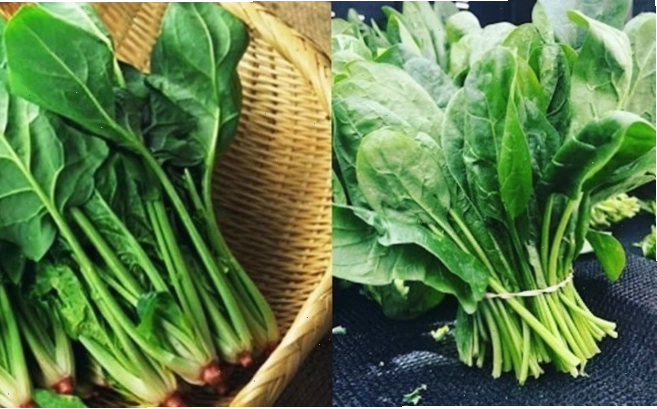 7 lý do rau bina là một trong những loại rau xanh tốt cho sức khỏe nhất