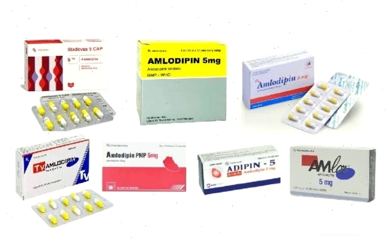 Amlodipin 5mg chữa bệnh gì