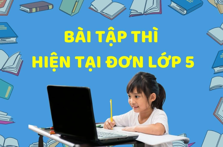 Bài tập thì hiện tại đơn và các dạng bài tập liên quan