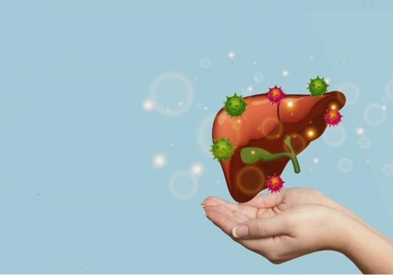 Biểu đồ hoặc hình ảnh minh họa cho thấy gan bị nhiễm virus là một trong những nguyên nhân phổ biến gây tăng men gan