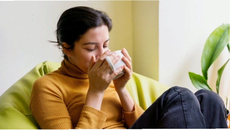 Bông hoa cúc khô dùng để pha trà, giữ trọn vẹn hương vị và dưỡng chất