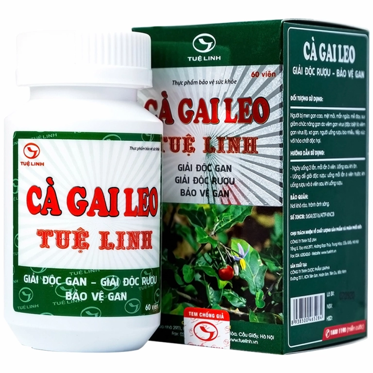 Cà gai leo: Công dụng, cách dùng và những lưu ý quan trọng