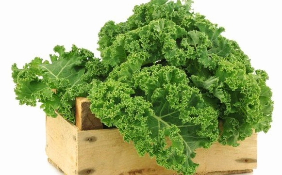 Cải xoăn kale: Kho báu dinh dưỡng cho sức khỏe và vóc dáng
