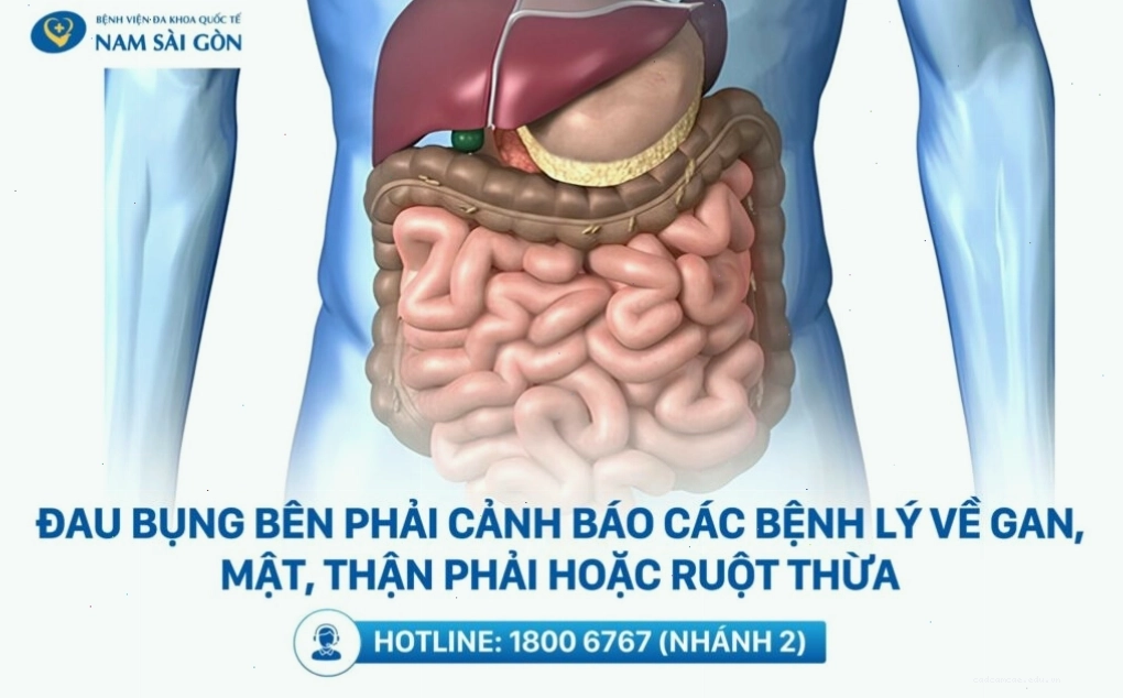 Cận cảnh vùng bụng dưới bên phải, nơi có thể xuất hiện các cơn đau do nhiều nguyên nhân khác nhau