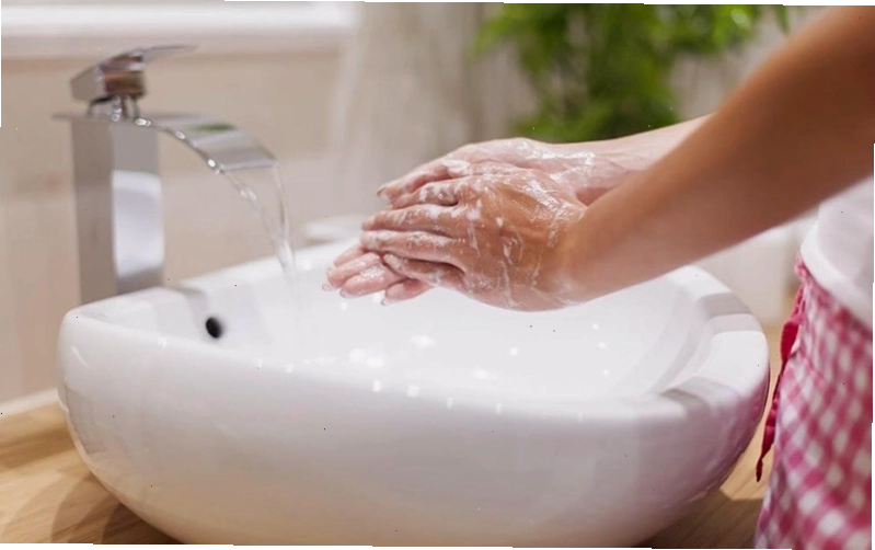 Cần phải rửa sạch tay ngay sau khi tiếp xúc trực tiếp với kiến ba khoang