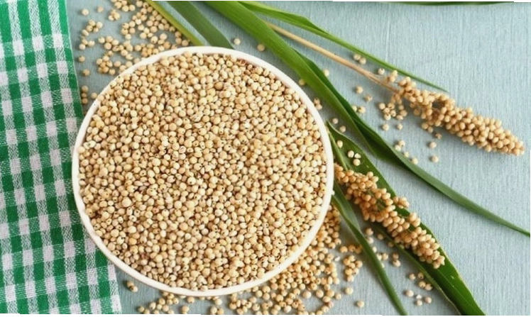 Cao lương là một loại ngũ cốc có thể chế biến thành nhiều món ăn