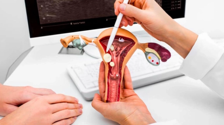 Cấu tạo bộ phận sinh dục nữ: Hình ảnh chi tiết và những điều cần biết