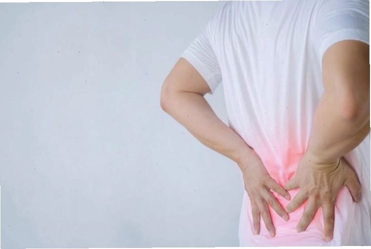 Cây xương khỉ có công dụng trị gai cột sống và các bệnh xương khớp