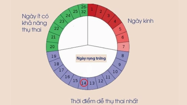 Chu Kỳ Kinh Nguyệt Bình Thường Kéo Dài Bao Lâu Và Các Yếu Tố Ảnh Hưởng