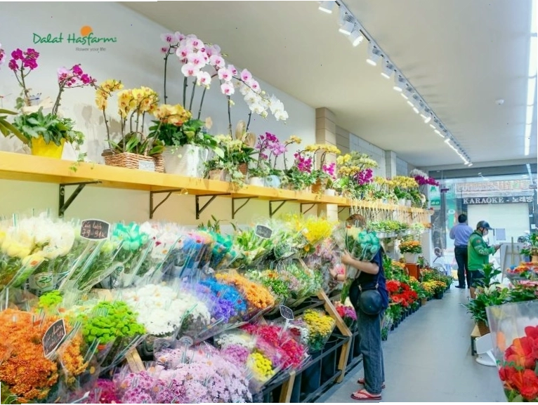 Cửa hàng hoa tươi Dalat Hasfarm trưng bày nhiều loại hoa đẹp, trong đó có hoa Thủy Tiên