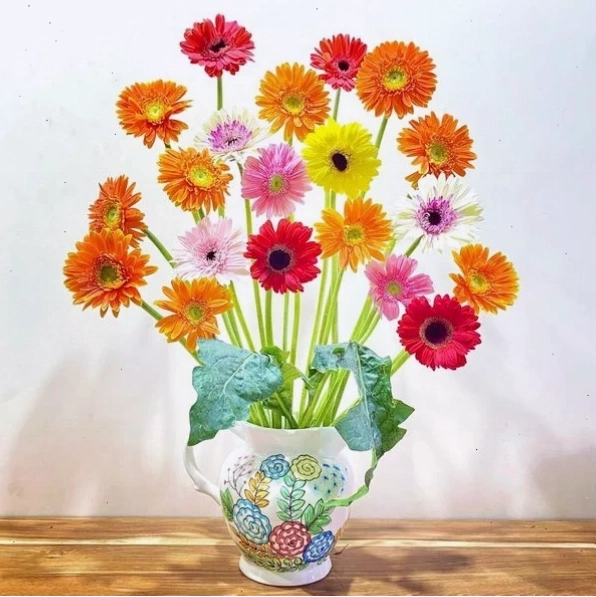 Đặc điểm nổi bật của hoa đồng tiền với những cánh hoa tròn trịa và màu sắc tươi tắn