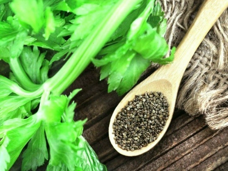 Hạt cần tây, nguồn dinh dưỡng cô đặc với nhiều công dụng sức khỏe