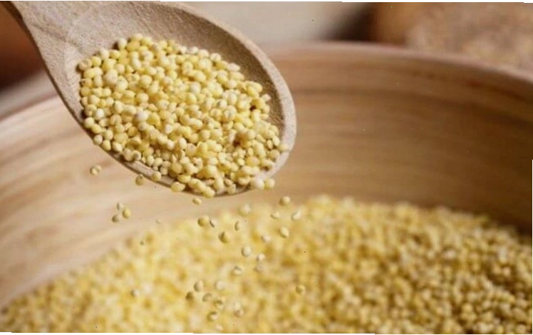 Hạt kê chứa nhiều chất dinh dưỡng tốt cho não bộ