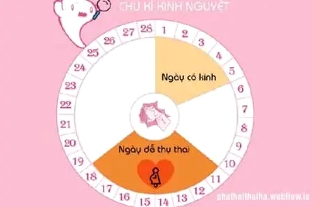 Hết kinh bao nhiêu ngày thì rụng trứng và cách tính đơn giản