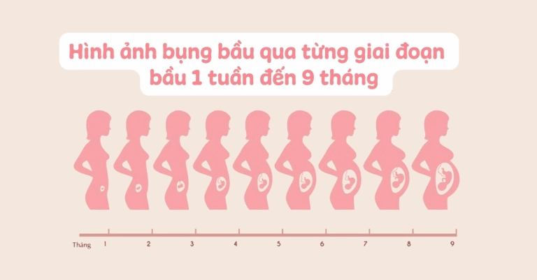 Hình ảnh bụng bầu 1 tuần và những thay đổi mẹ cần biết