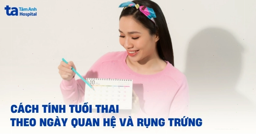 Hình ảnh minh họa cách tính tuổi thai theo ngày quan hệ và ngày rụng trứng