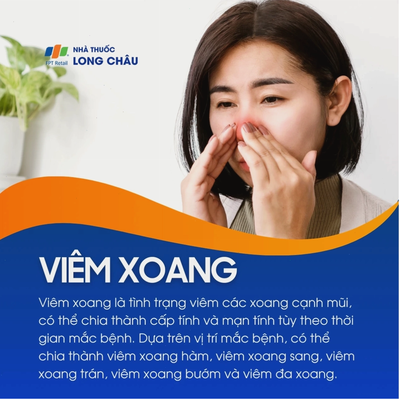 Hình ảnh minh họa cấu trúc xoang và tình trạng viêm nhiễm