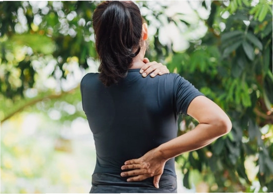 Hình ảnh minh họa về hệ cơ xương khớp