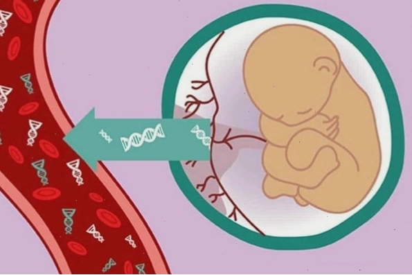 Hình ảnh minh họa về việc thực hiện xét nghiệm NIPT