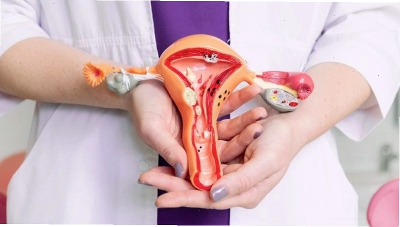 Hình ảnh minh họa viêm âm đạo do nhiều nguyên nhân khác nhau gây ra