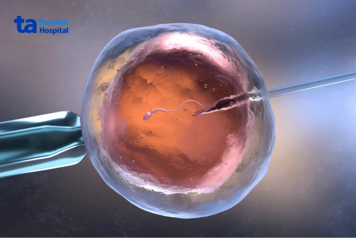 Hình ảnh phòng lab hiện đại hỗ trợ kỹ thuật thụ tinh ống nghiệm IVF