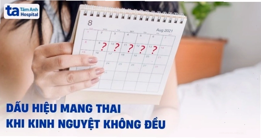 Hình ảnh phụ nữ theo dõi chu kỳ kinh nguyệt trên điện thoại