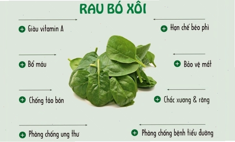 Hình ảnh rau bina tươi xanh mơn mởn