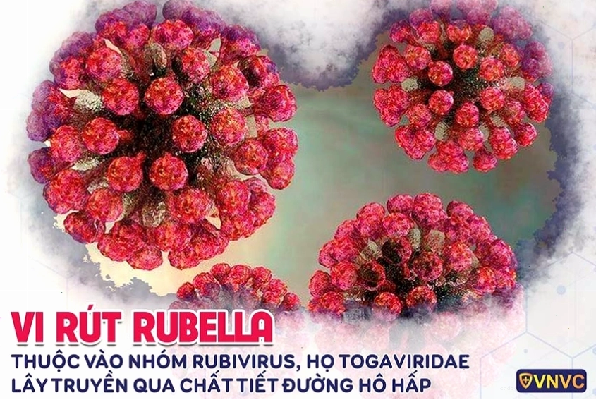 Hình ảnh virus Rubella