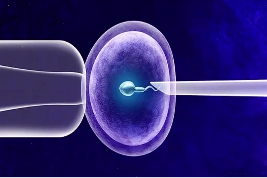 IVF mang lại giải pháp giúp các cặp vợ chồng vô sinh - hiếm muộn tăng cơ hội thụ thai