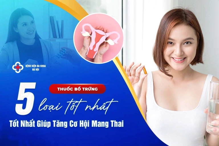 Khám Phá Các Loại Thuốc Bổ Trứng Tốt Nhất Hiện Nay Hỗ Trợ Sức Khỏe Sinh Sản