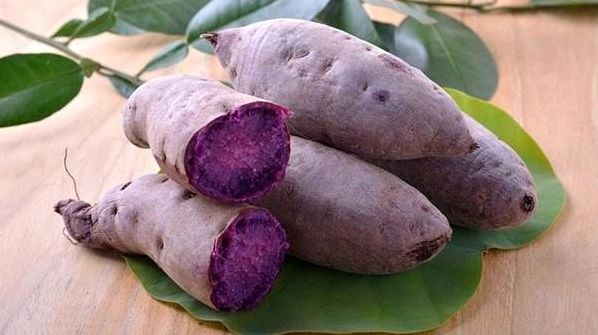 Khoai Lang: Khoa Học Về Dinh Dưỡng Và Lợi Ích Sức Khỏe