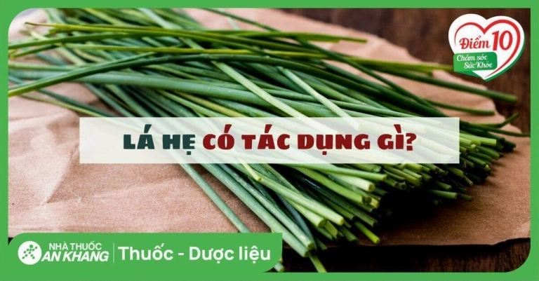 Lá Hẹ: Công Dụng Bất Ngờ Cho Sức Khỏe Và Cách Sử Dụng Hiệu Quả