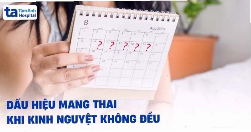 Lịch kinh nguyệt