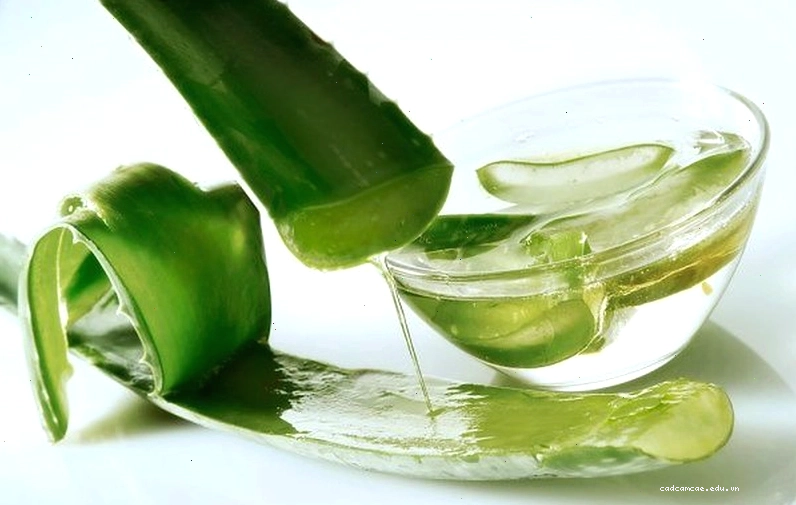 Lô hội có thể làm dịu da và giảm triệu chứng nổi mề đay