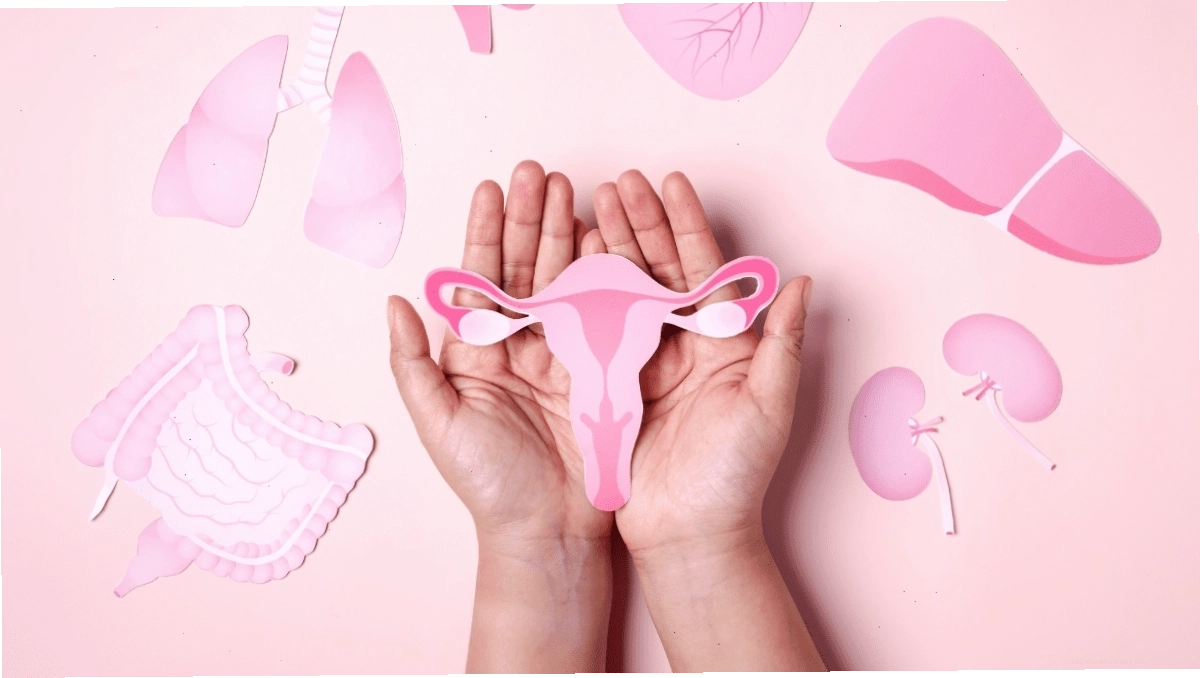 Minh họa các dấu hiệu phân biệt giữa chậm kinh và mang thai