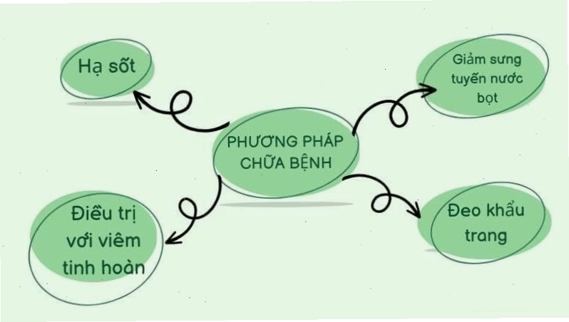 Minh họa các phương pháp chăm sóc và điều trị bệnh nhân quai bị tại nhà