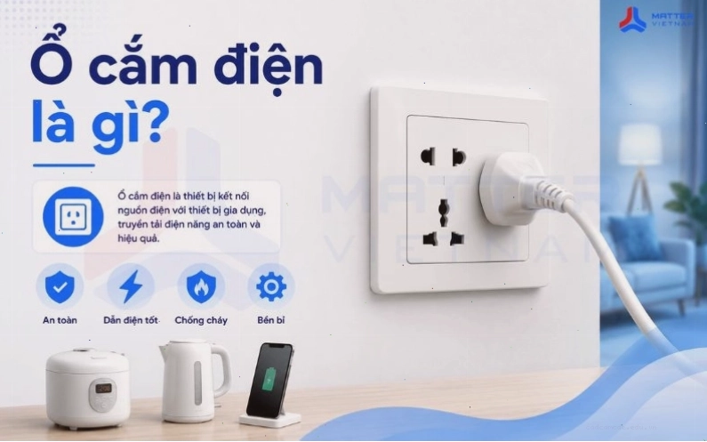Minh họa cấu tạo và các loại ổ cắm điện phổ biến trên thị trường