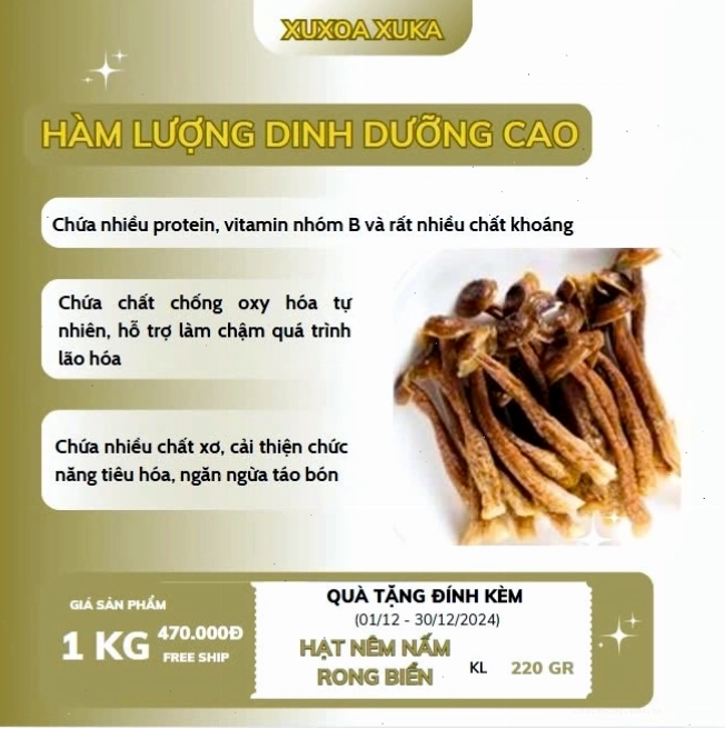 Minh họa công dụng của nấm lộc nhung đối với sức khỏe con người