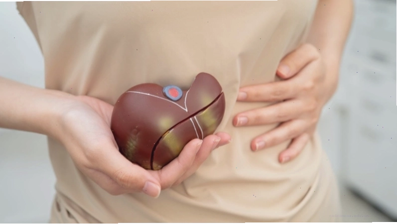 Minh họa nhiều nguyên nhân khác nhau có thể dẫn đến tình trạng tăng chỉ số men gan