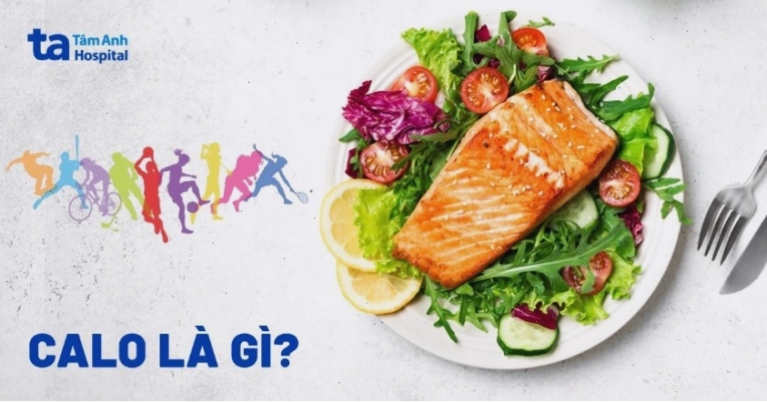 Minh họa về calo và năng lượng