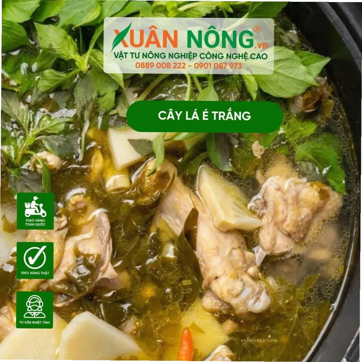Món lẩu gà lá é thơm ngon đặc trưng