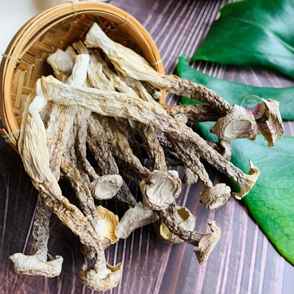 Nấm Lộc Nhung: Tác Dụng, Cách Chế Biến Và Lưu Ý Sử Dụng