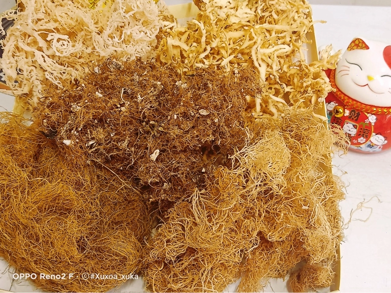Nấm lộc nhung tươi ngon