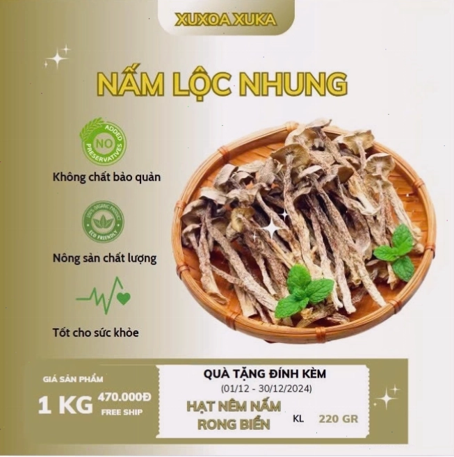 Nấm lộc nhung với hình dáng độc đáo giống nhung hươu