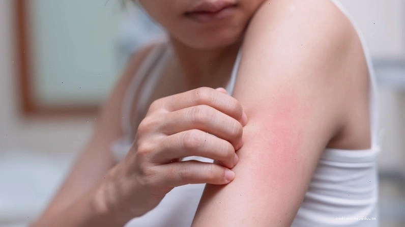 Nên mua sữa tại các địa chỉ uy tín để tránh sữa giả
