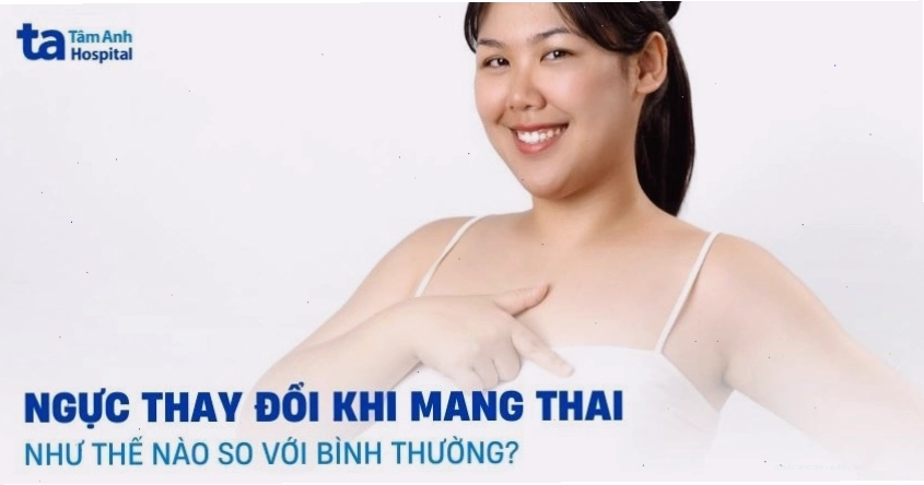 Ngực thay đổi khi mang thai