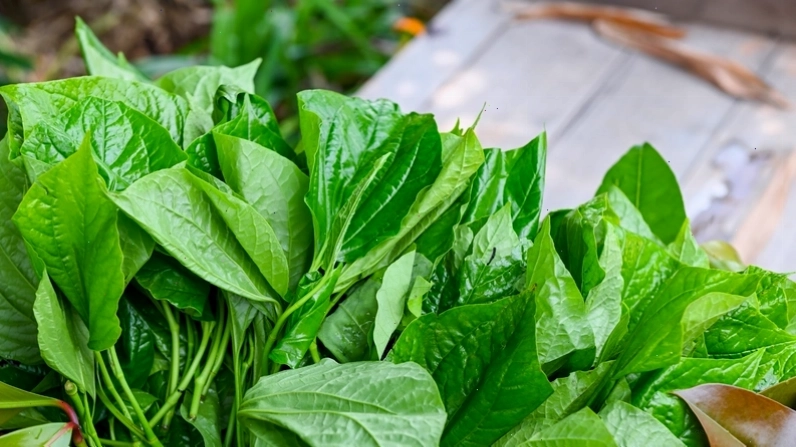 Nhiều loại rau thơm tươi ngon được sắp xếp bắt mắt trên bàn, chuẩn bị cho bữa ăn.