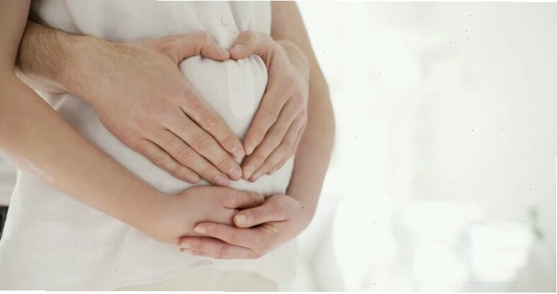Nút nhầy tử cung có nhiệm vụ bịt kín cổ tử cung, bảo vệ thai nhi