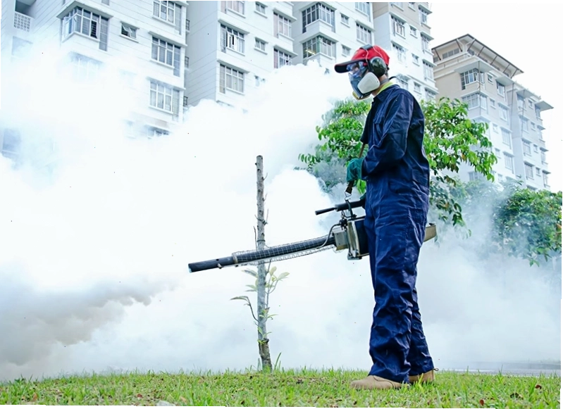 Phun thuốc diệt côn trùng định kỳ để tiêu diệt kiến ba khoang