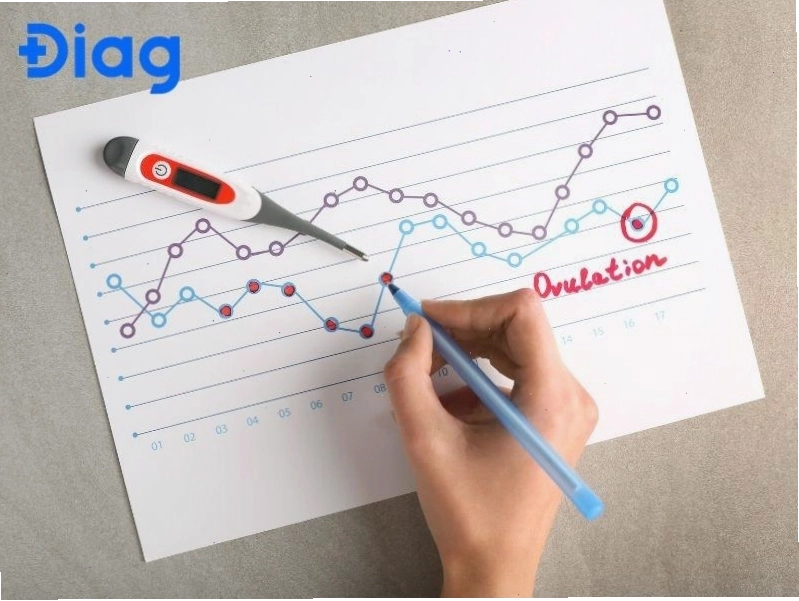 Phương pháp tránh thai theo chu kỳ có thể sai lệch đến 24% nếu không theo dõi kỹ